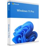 Microsoft Windows 11 Professional Pro Digital Key Download